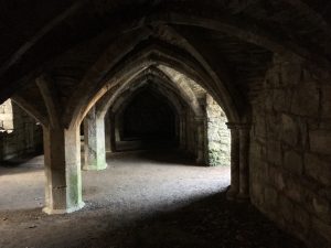 Cellar, Finchale Priory