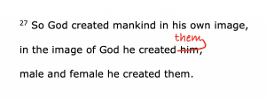 Genesis 1:27 modified NIV