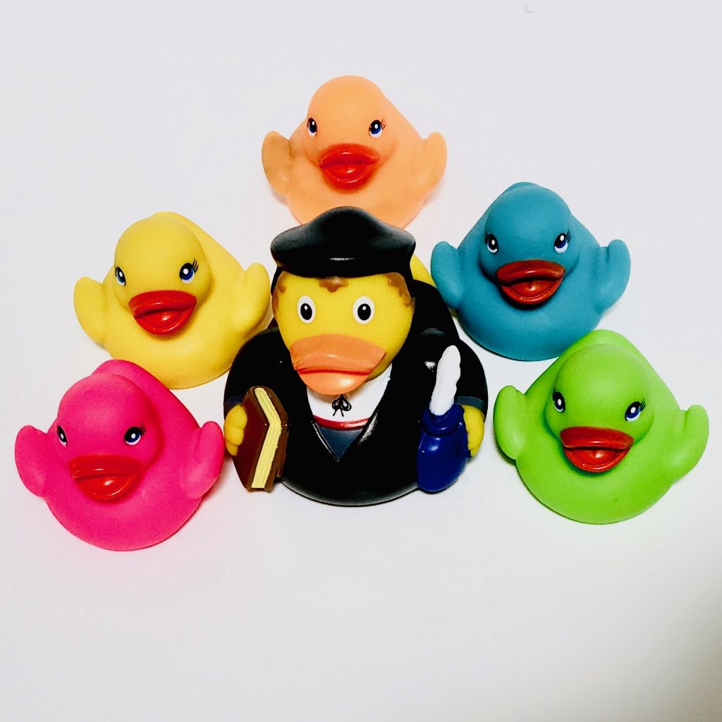 Ducks following a teacher