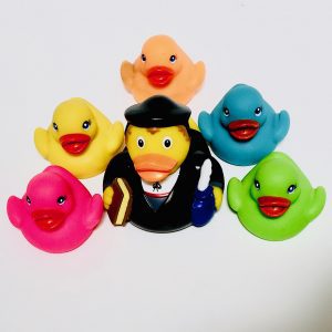 Ducks following a teacher