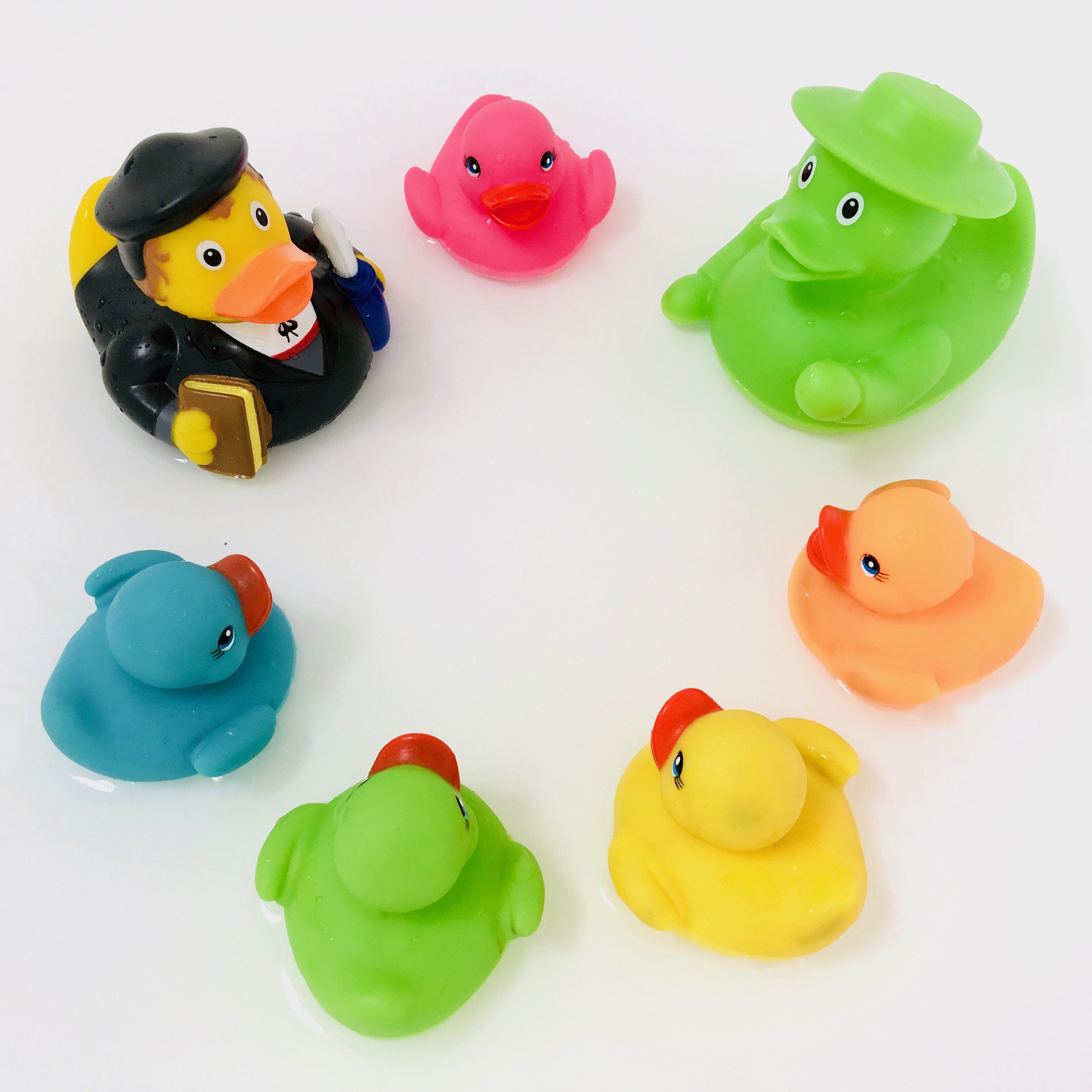 Ducks learning in a circle