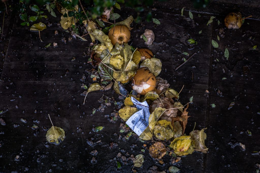 Photo by Del Barrett on Unsplash