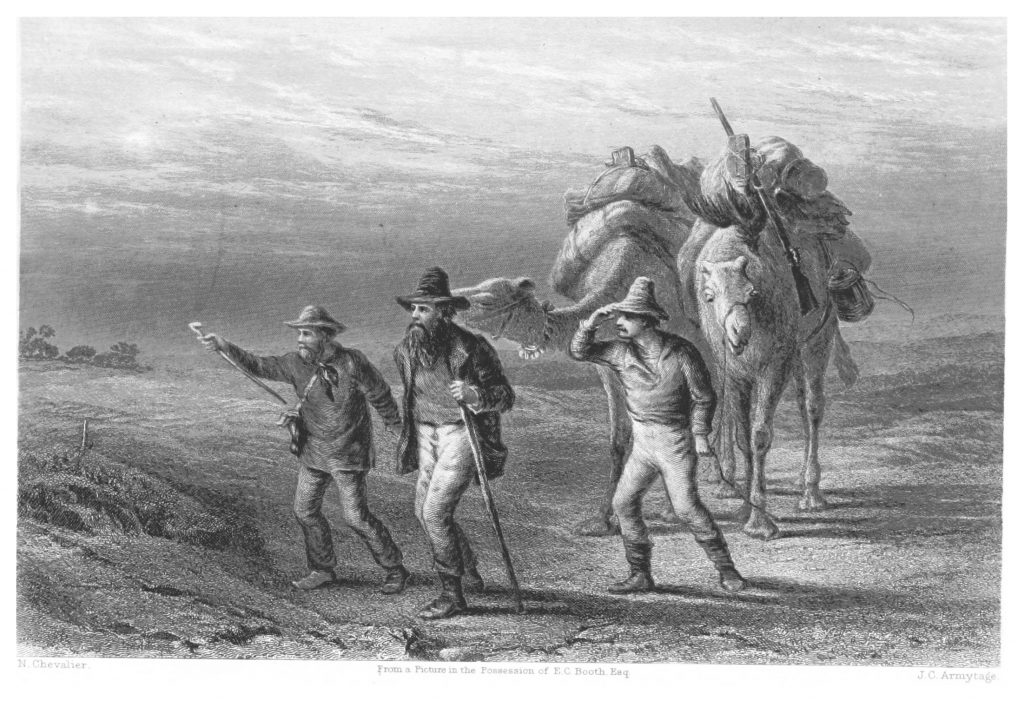 Booth (1873). The Return of Burke and Wills to Coopers Creek