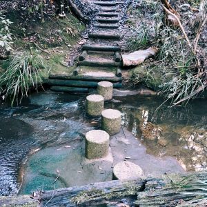 Stepping Stones