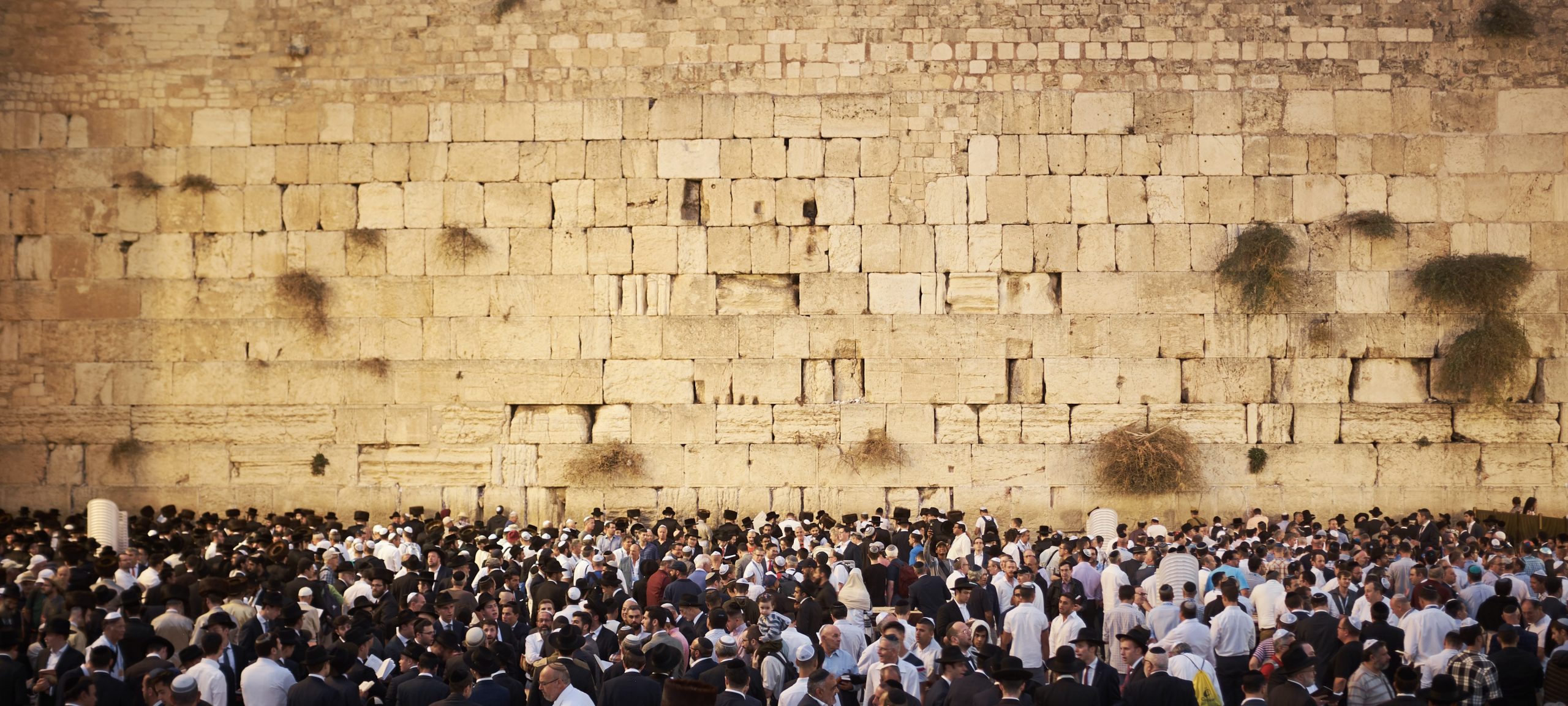 Who are “the saints” in Ephesians?