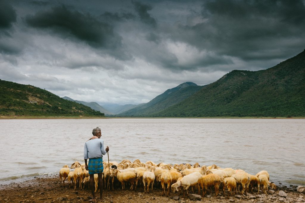 Photo by Joseph d'Mello on Unsplash