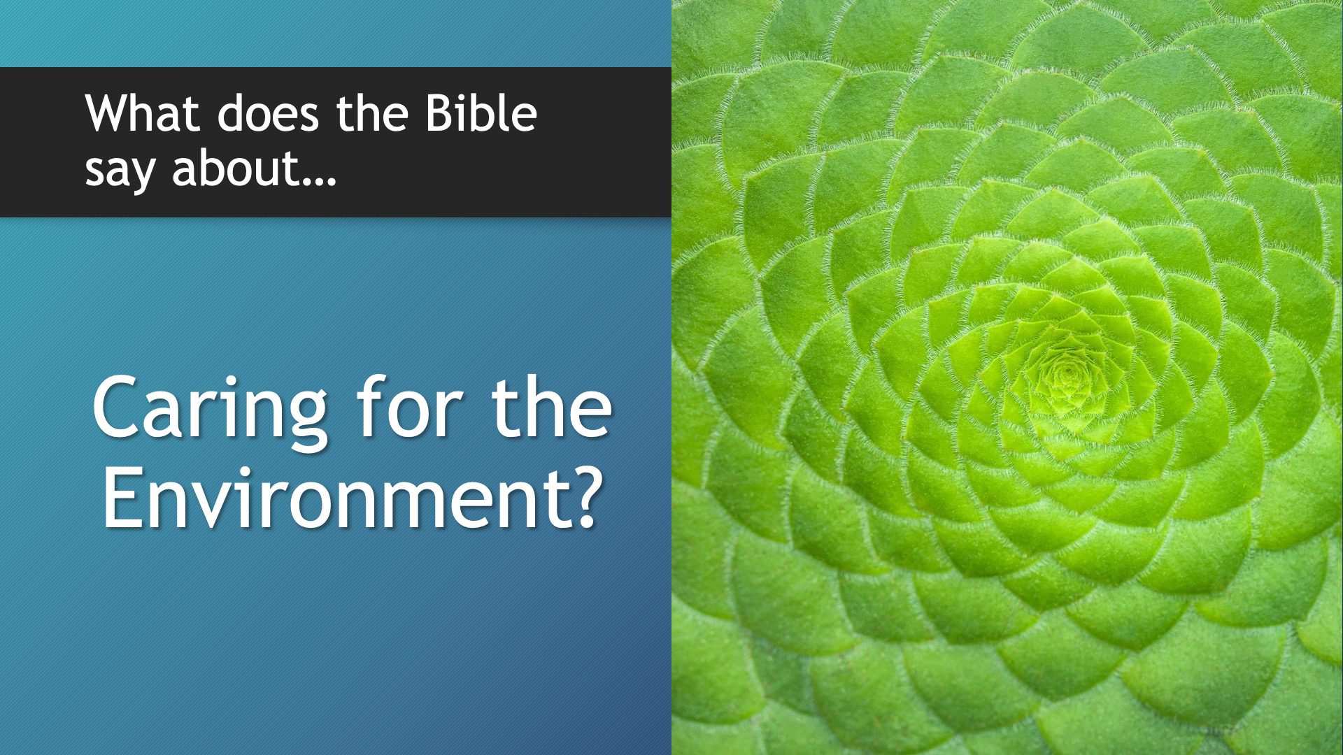Video: What does the Bible say about caring for the environment?