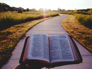 Righteousness language in the Bible