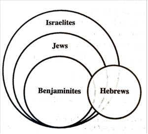 Staples, The Idea of Israel in Second Template Judaism, diagram on p. 343