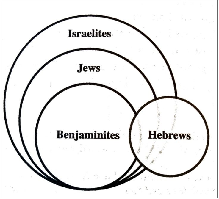 Staples, The Idea of Israel in Second Template Judaism, diagram on p. 343