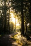 Photo by Nico Hartnaeuer on Unsplash